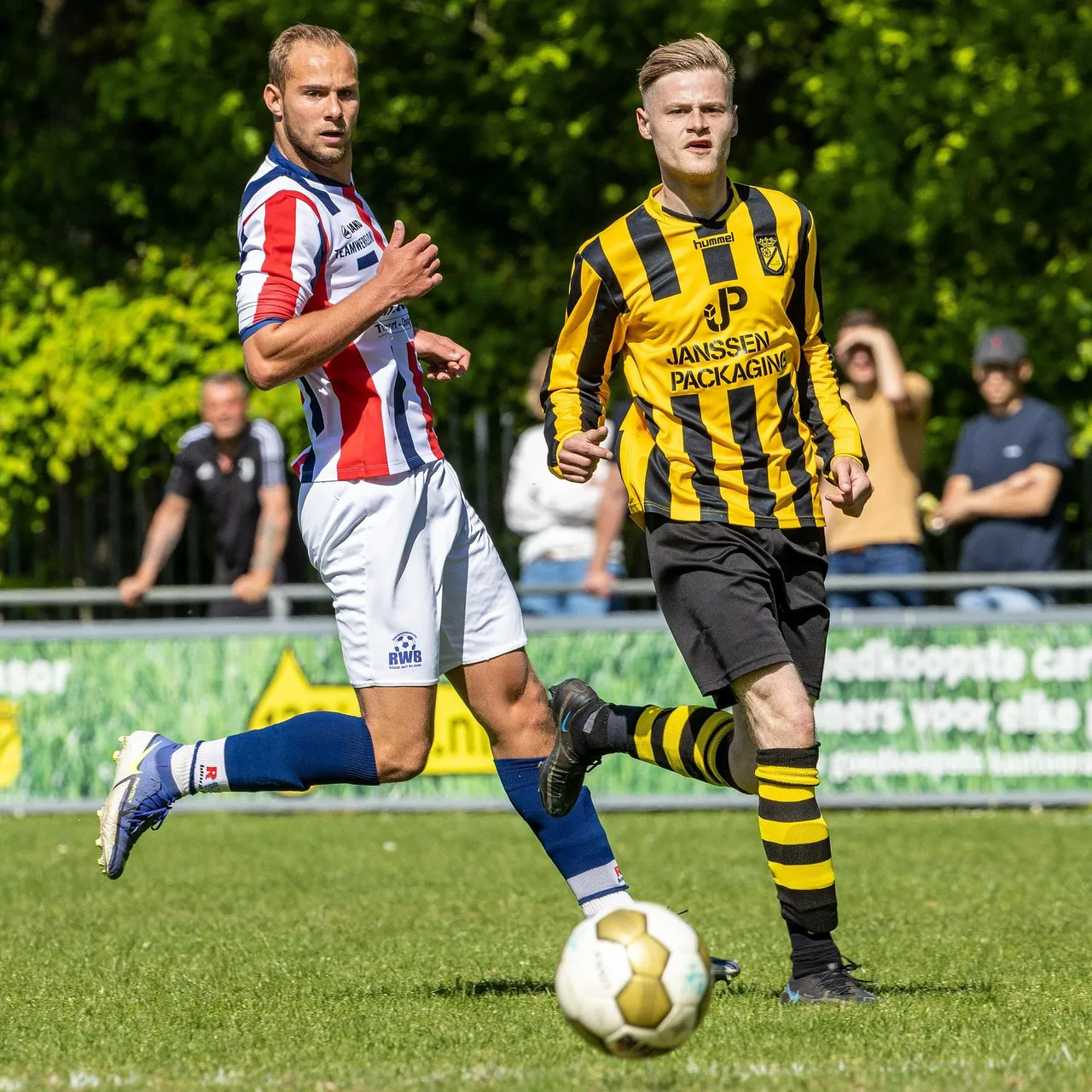 baardwijk rwb b