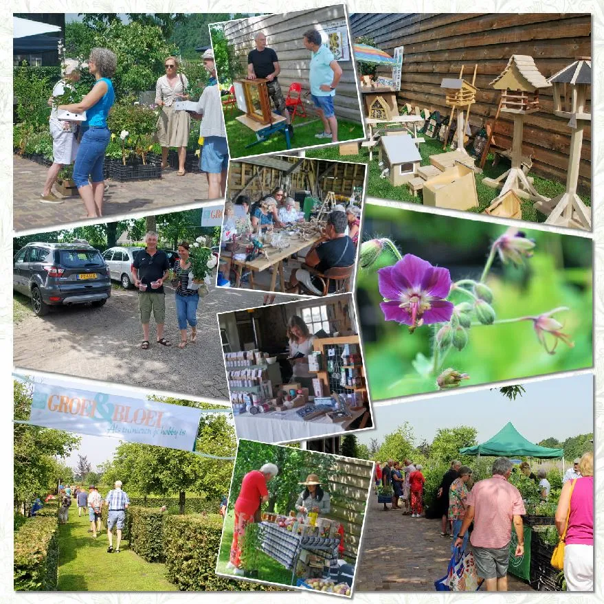 collage voor persberichten 2023