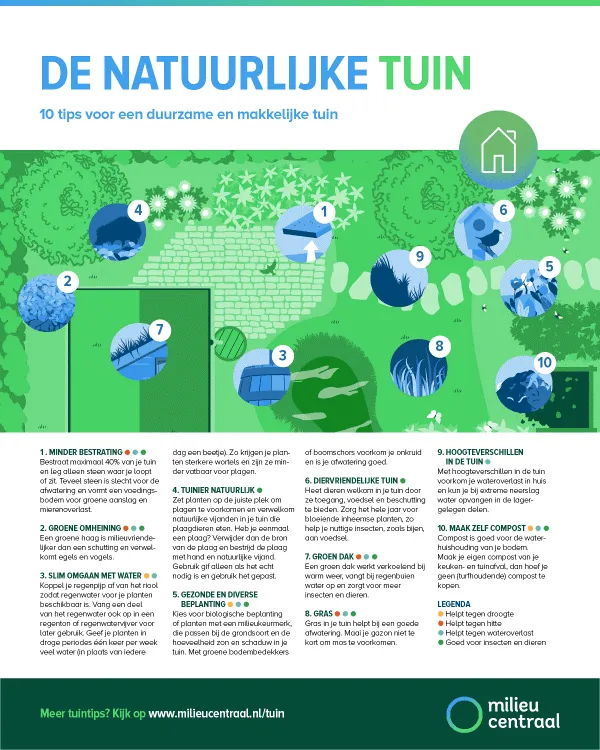 tuin