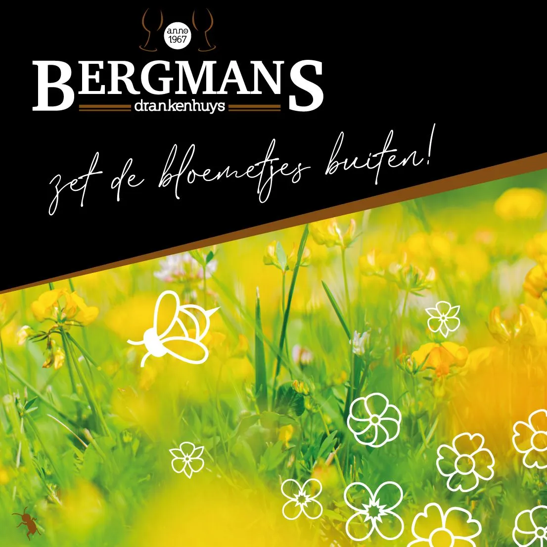 whatsapp image 2022 04 21 at 123120 pm