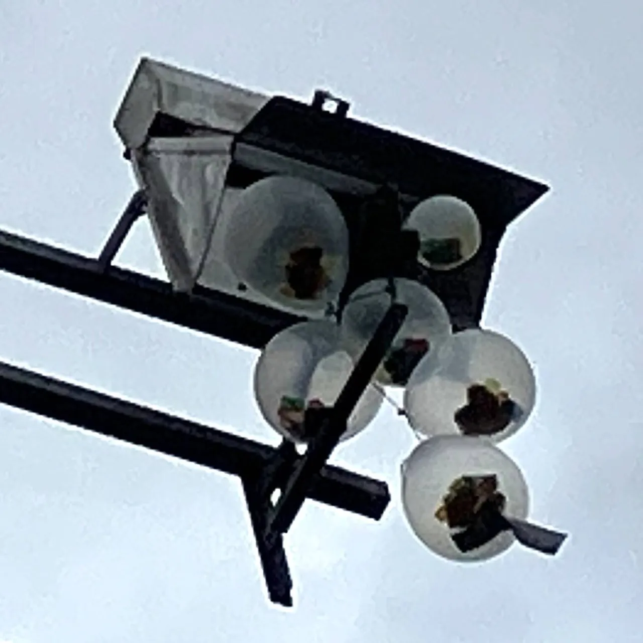 Vogel met balonnen
