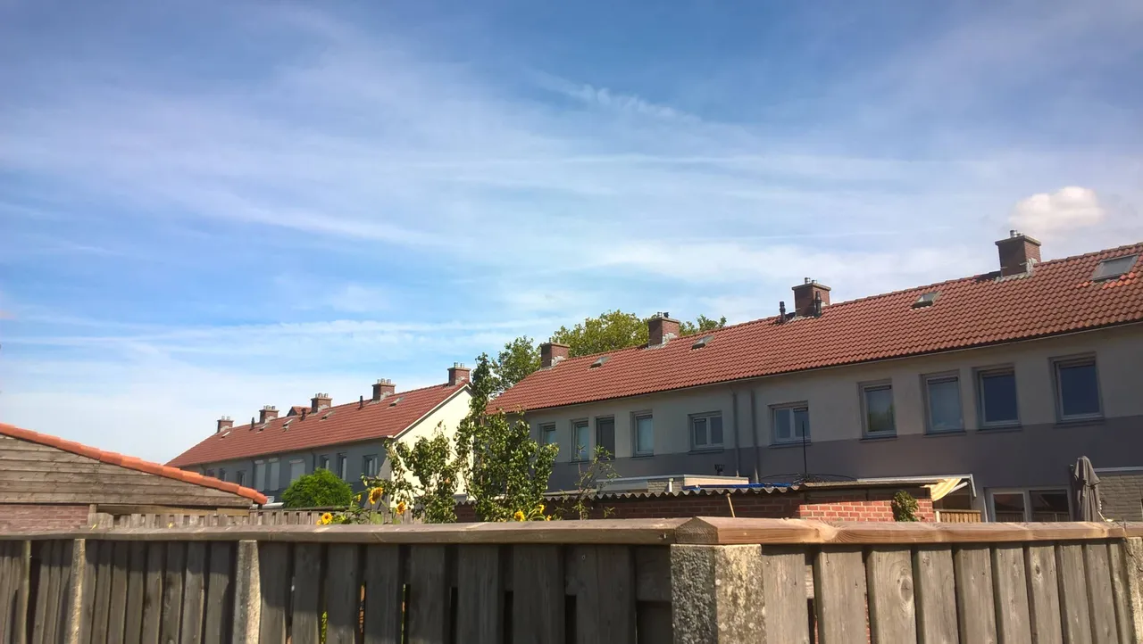 WP_20250825_14_08_11_Pro