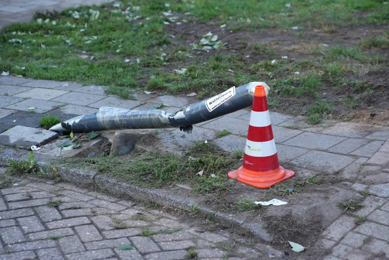 ERIK__HAVERHALS_SMALL_ERIK_HAVERHALS_A99856D9-1446-4B92-A757-E87B6CC0AE94