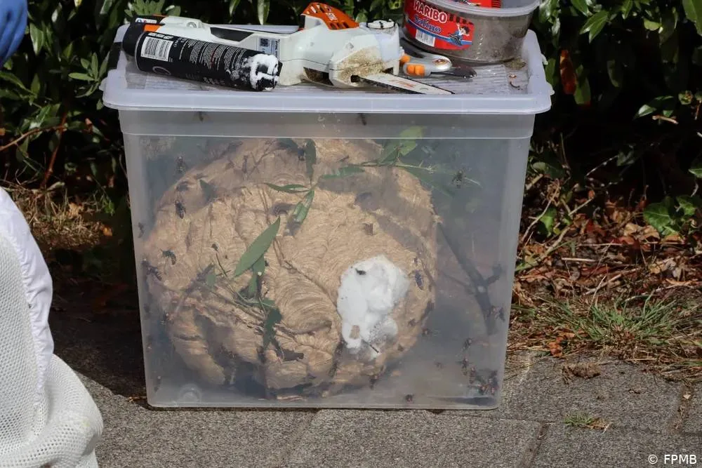 img-5214-68b5b5358acc2