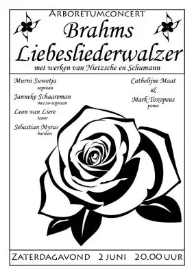 digiflyer voor