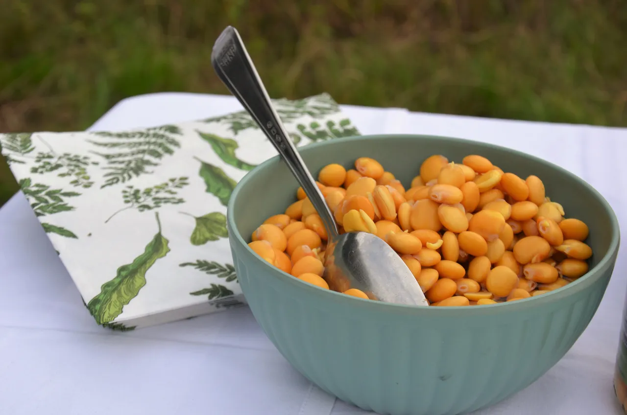 lekker lupine 2