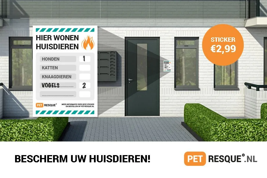 pet resque advertentie 2 new1415