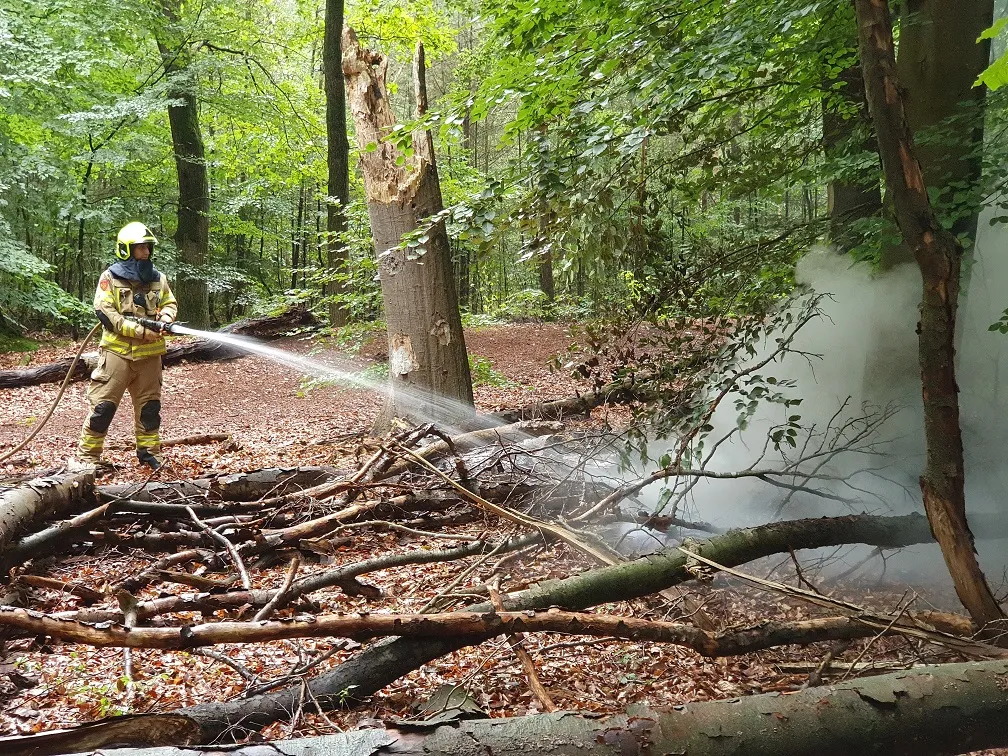 regentesselaan brand