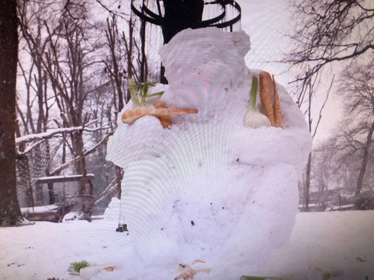 chimpansees.sneeuw.2.IMG_4013