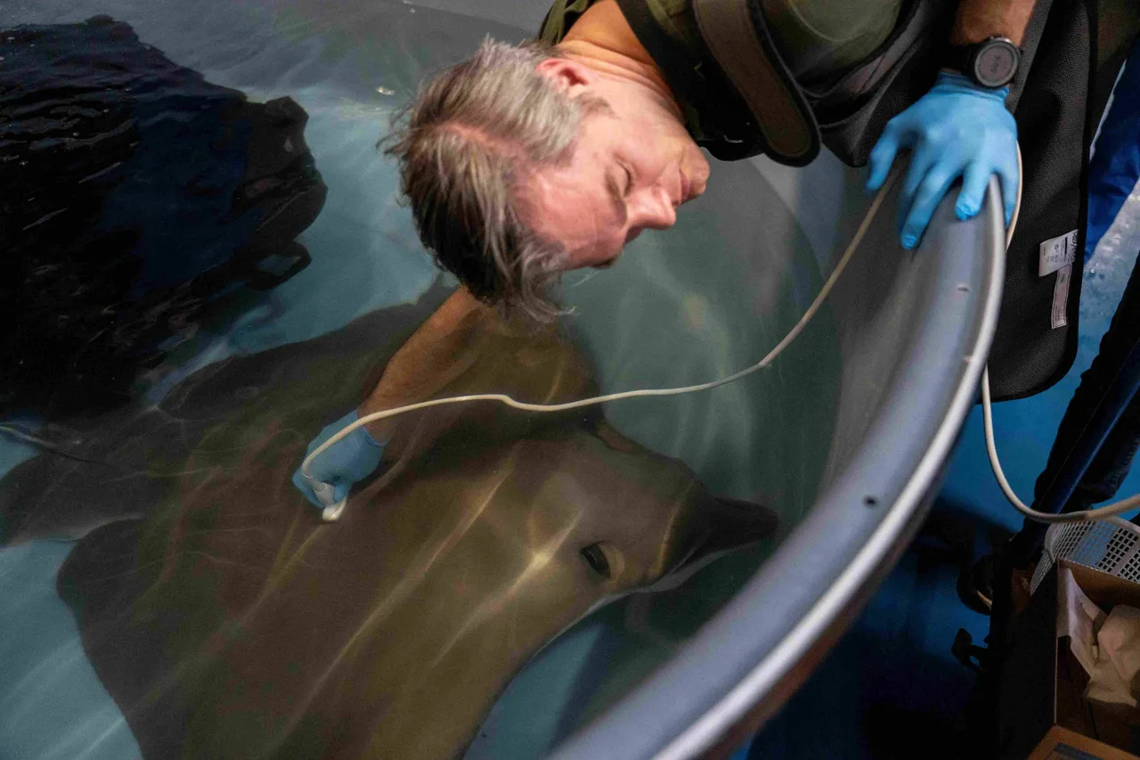 Echo-en-anticonceptie-rog-1