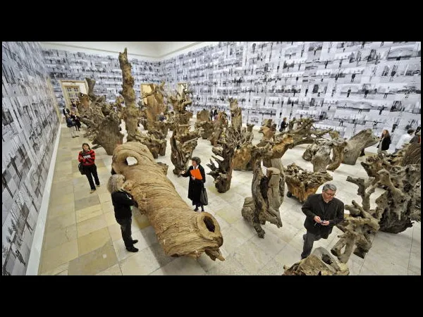 05 weiwei