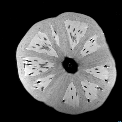 2012 10 02 tomato