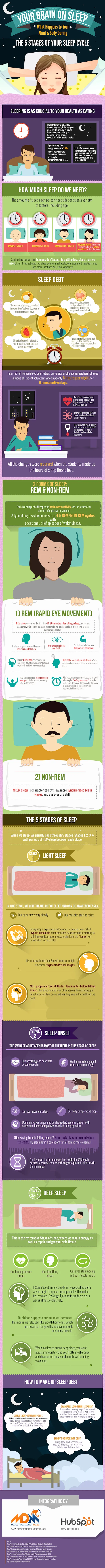 2015 08 05 1438790491 3486771 yourbrainonsleepthe5stagesofyoursleepcycle thumb