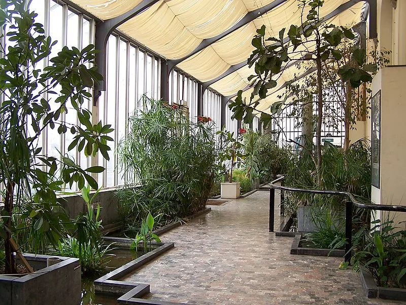 800px botanique binnen