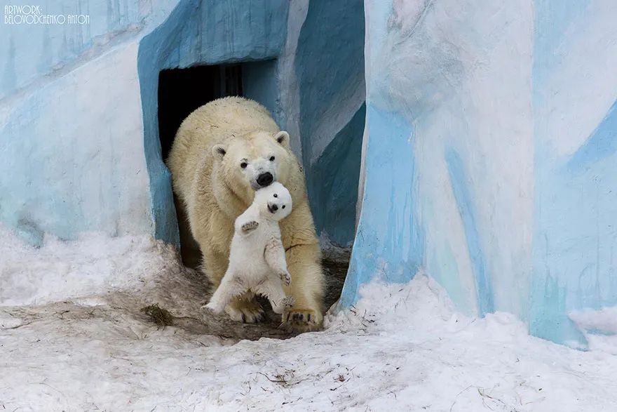 animal parents 3 1