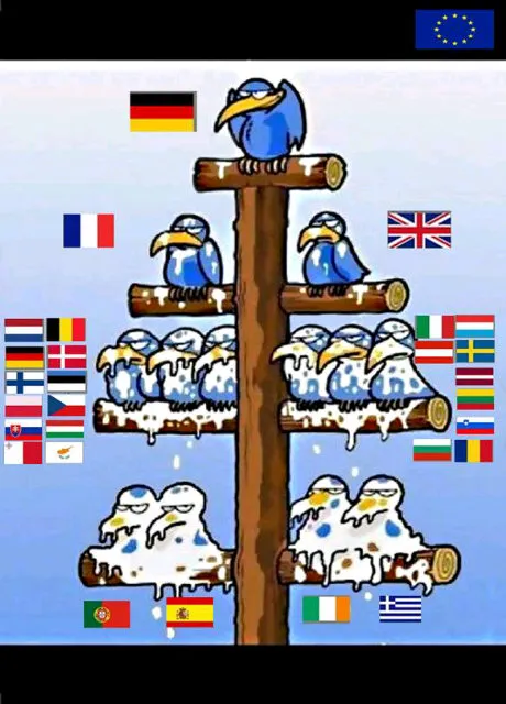 euro birds