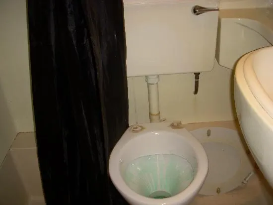 missing toilet seat
