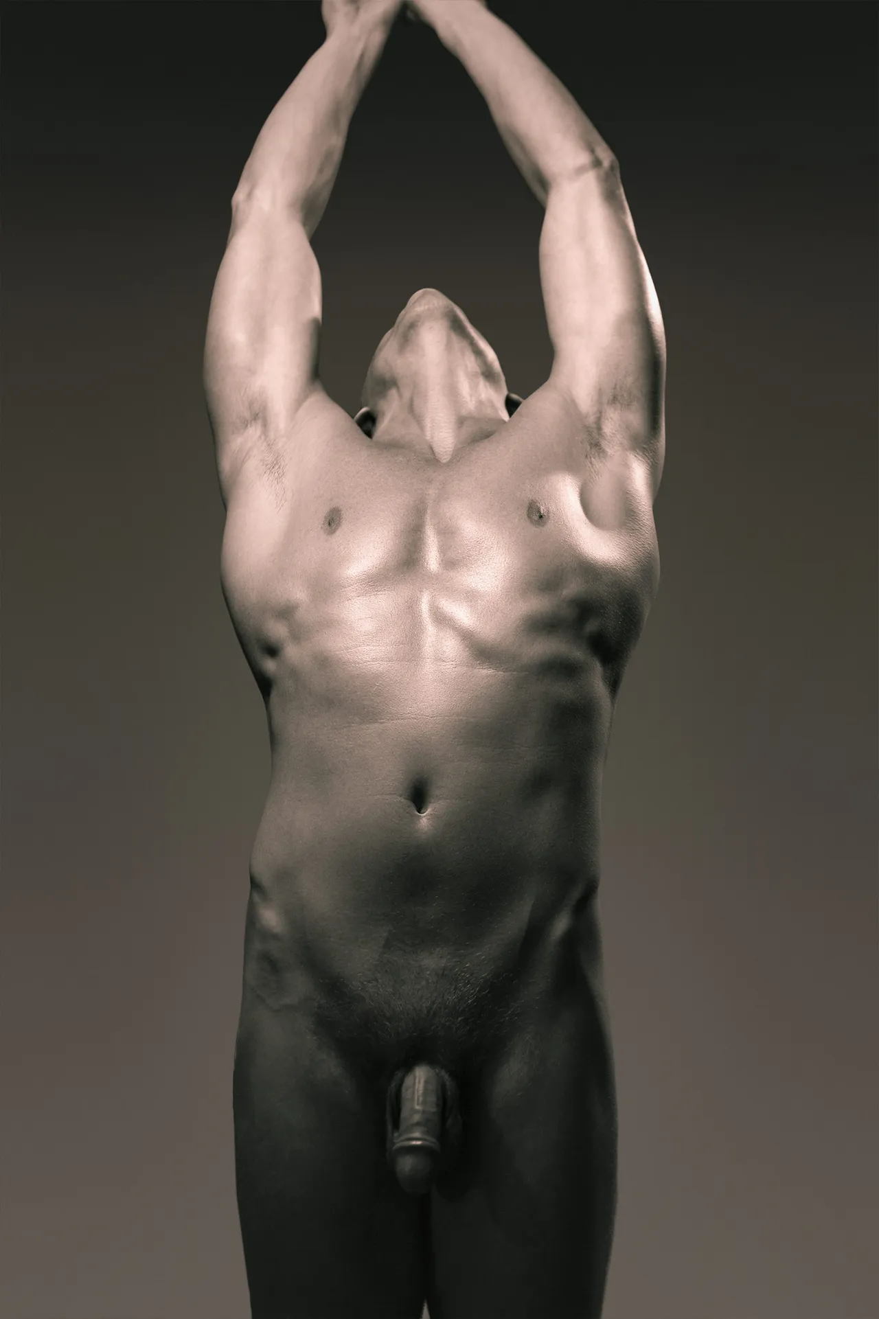 nude male torso 2