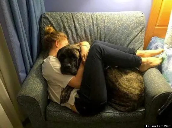 o cuddles 570