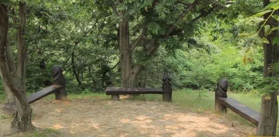 penis park 2