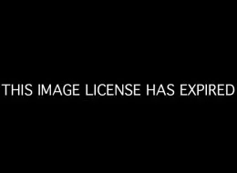 s strange addiction sheyla breasts 120219 large
