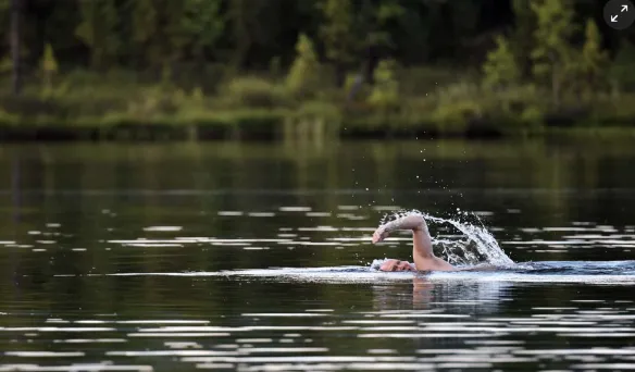 schermafbeelding 2017 08 06 om 085008 584x342