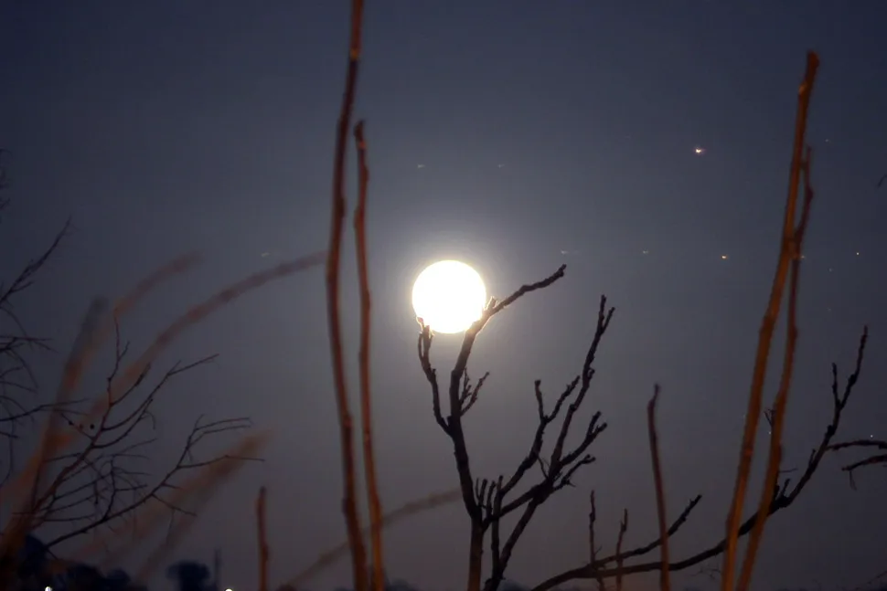 supermoon1