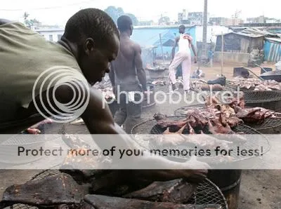 wik bushmeat