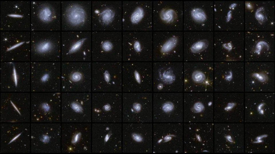 Enkele van de geclassificeerde sterrenstelsels. Bron: ESA