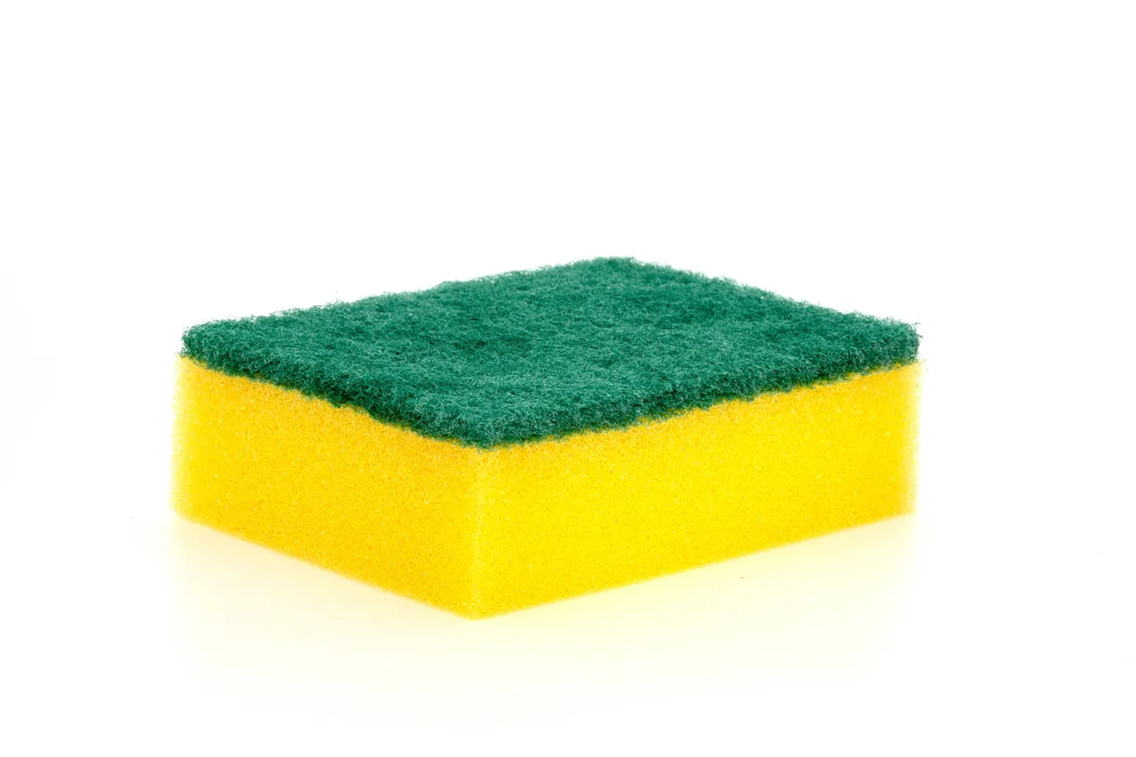 shutterstock 1563462685