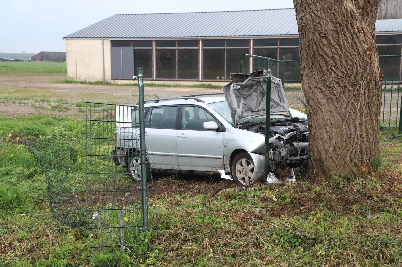 20210429172142 img 2467 copy 3120x2076