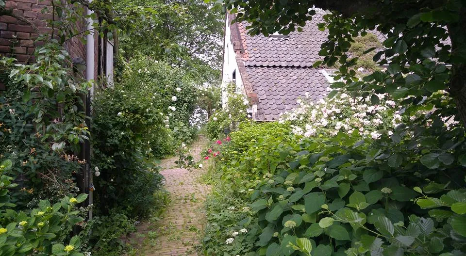 34035321 1700086390067089 1141813632552665088 n