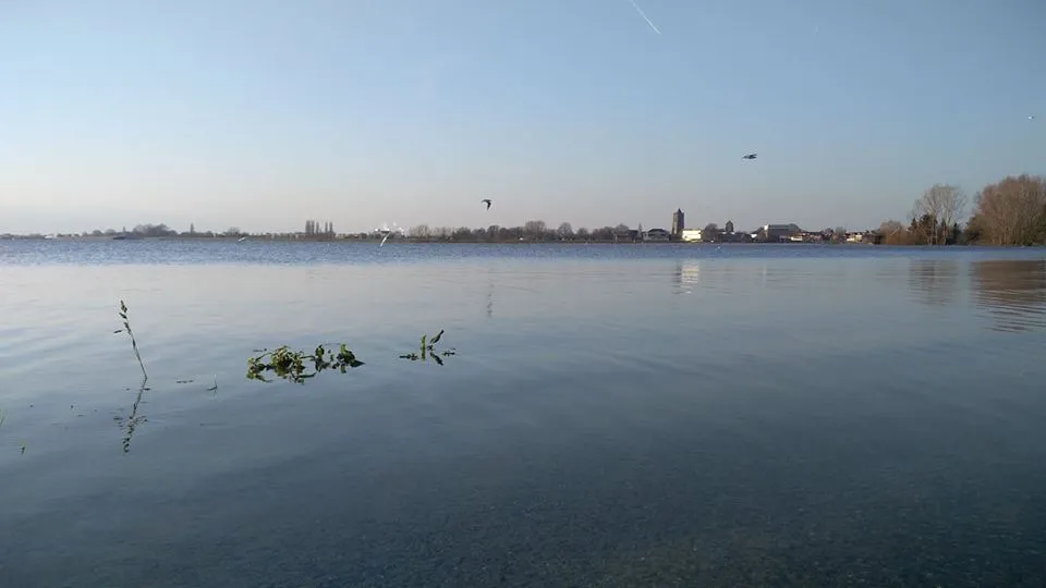 koen halma
