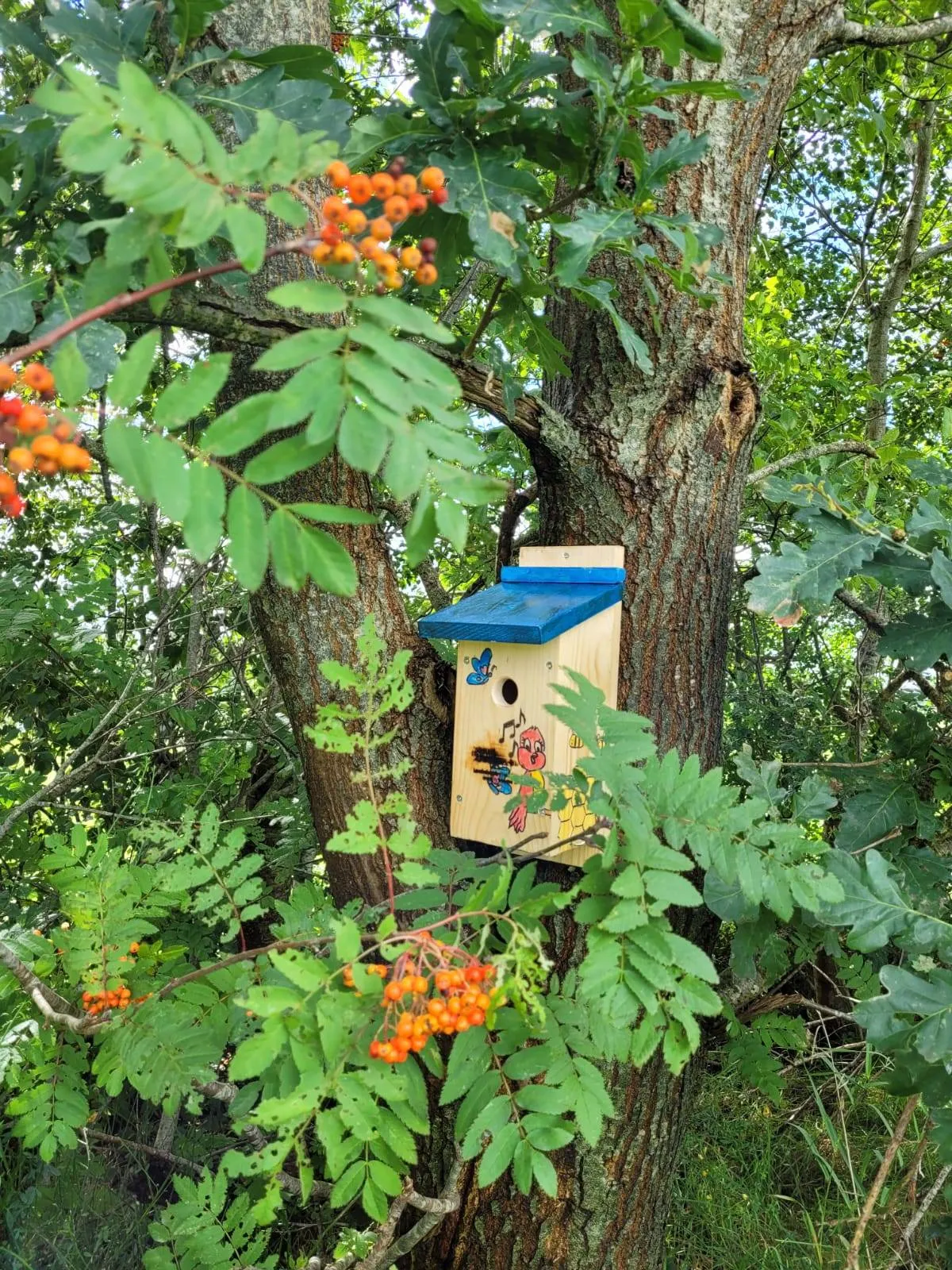 Fleurige nestkastjes.