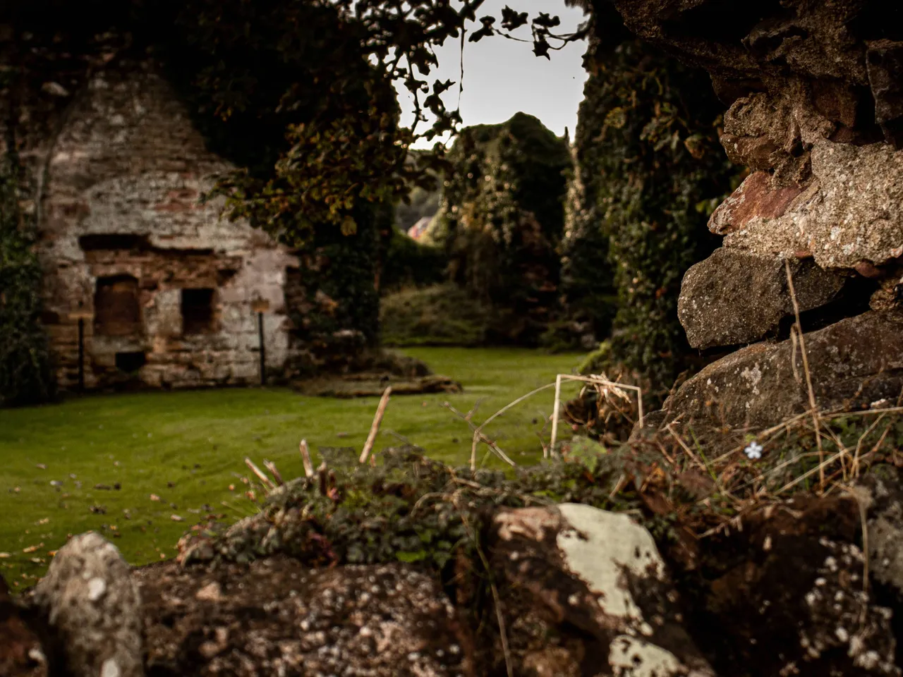 De ruïnes van de Lindores Abbey Distillery