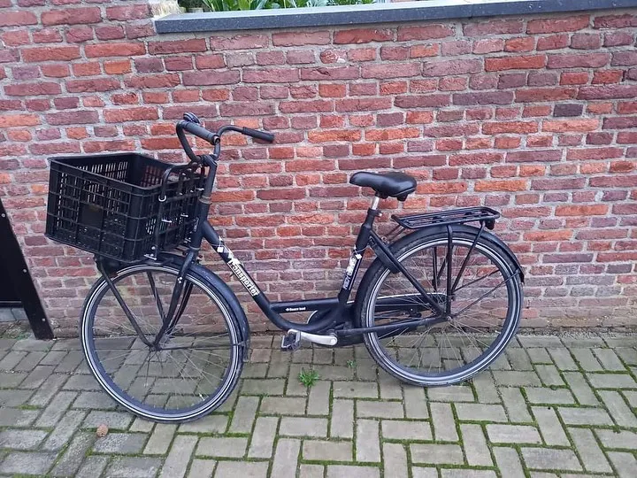 274158579 1930981863771349 8954651619631816891 n