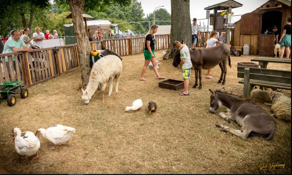 batenburgse dag 2019 01