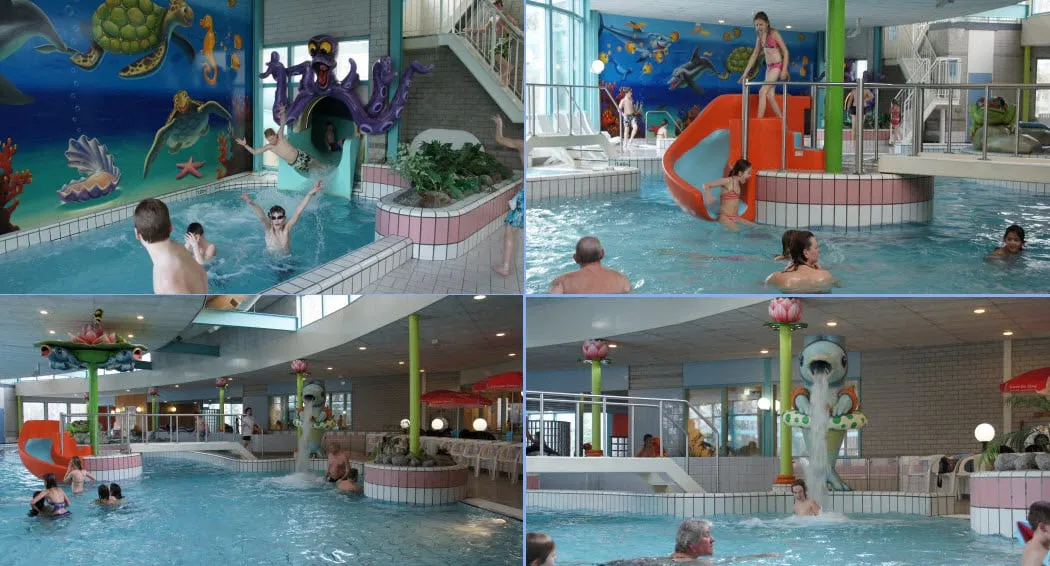 collage foto de meerval