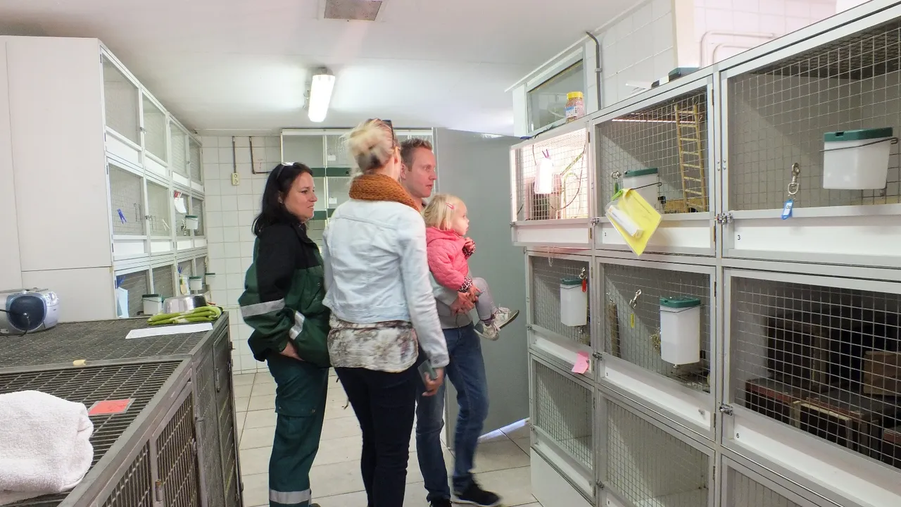 dierenambulance nijmegen 11