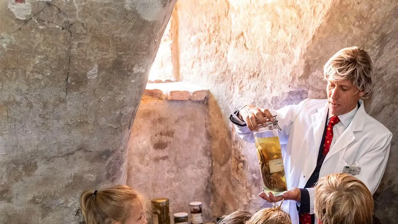 drakologie hernen zomer 1