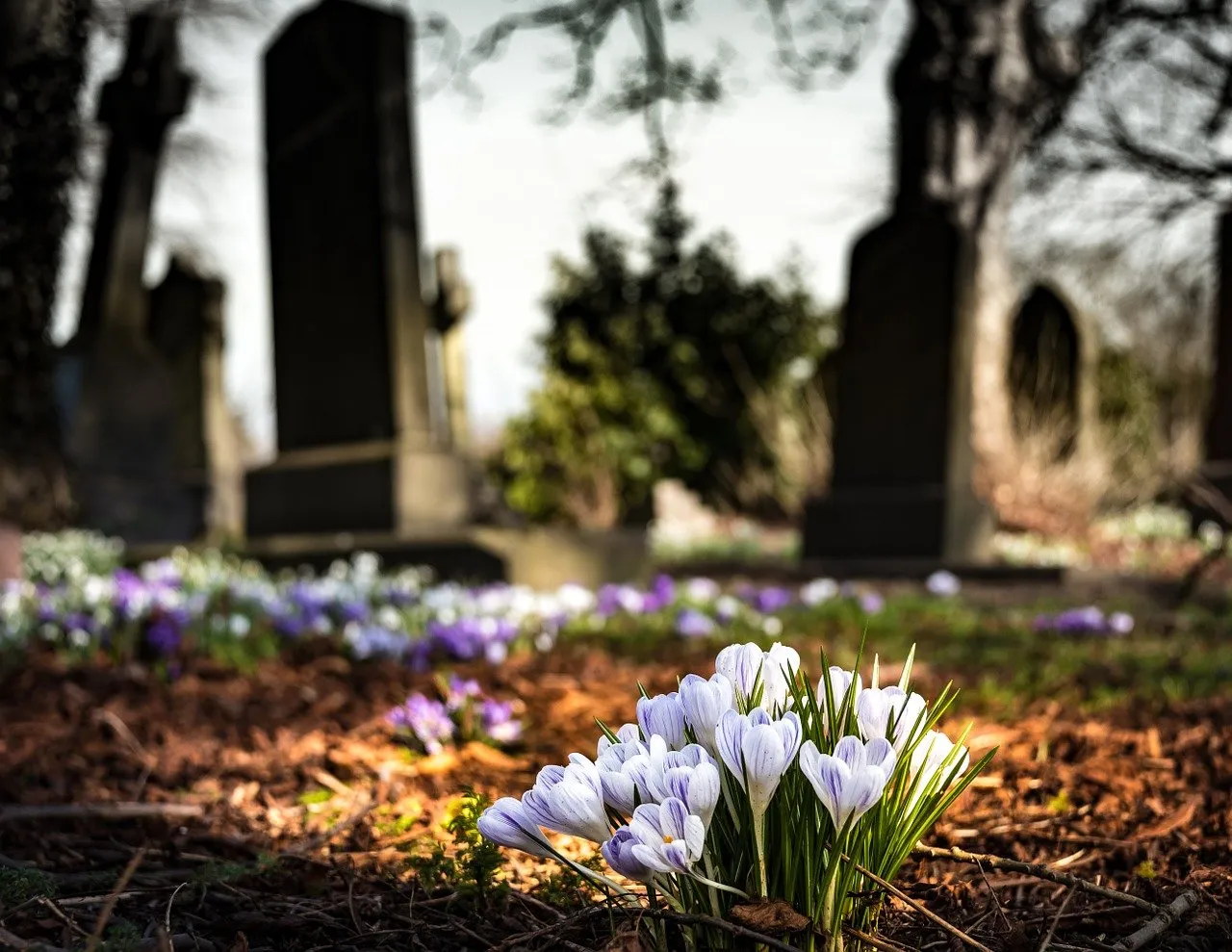 graveyard 1417871 1280