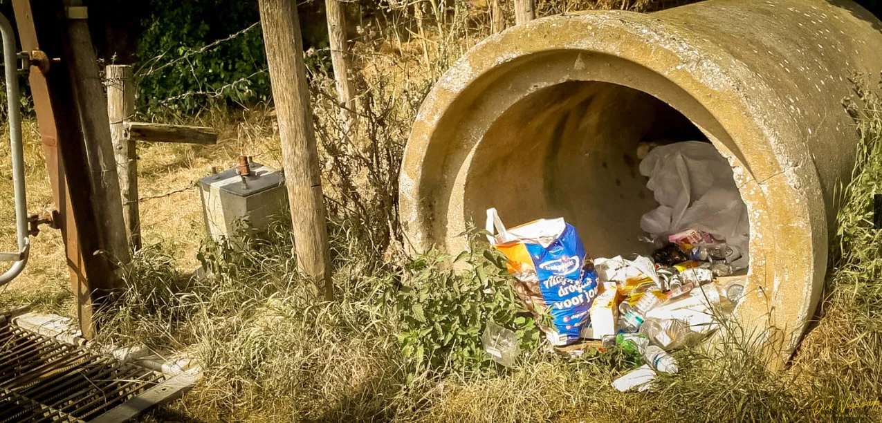 loonse waard honden 04