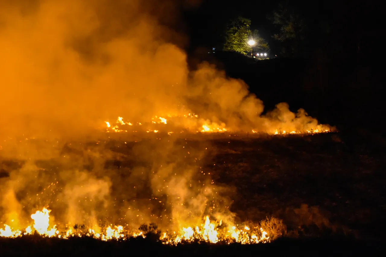 lrm export 101586648588144 20190422 021841925