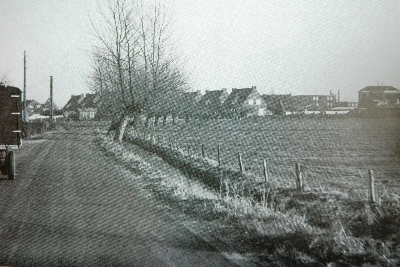 m41 dsc 9441kleine elst repro fco 2014 234409786 1800x1200 1