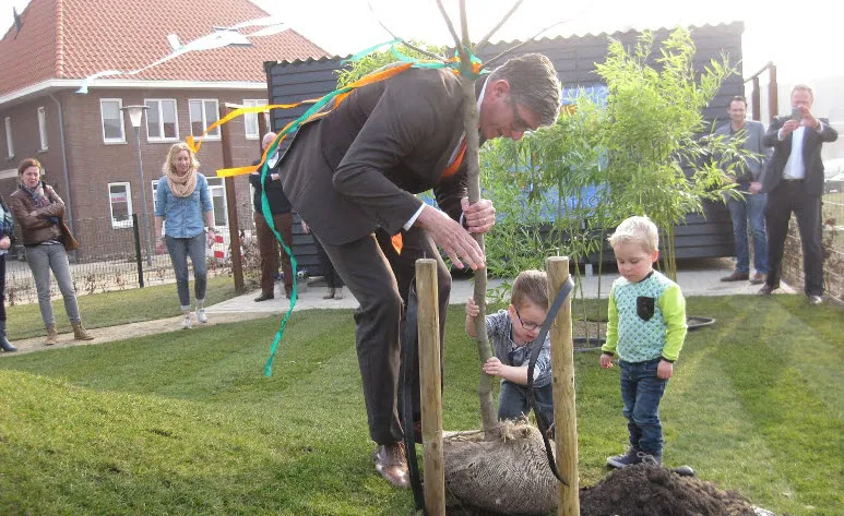 planten boom door paul loermans