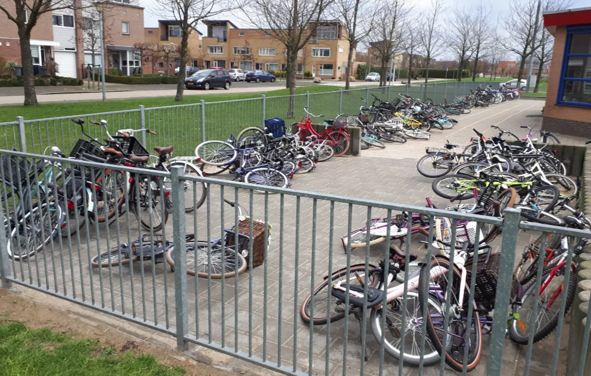 stormschade wijchen 180117 09