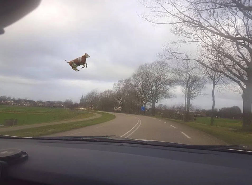 stormschade wijchen 180117 13