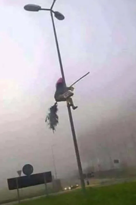 stormschade wijchen 180117 14