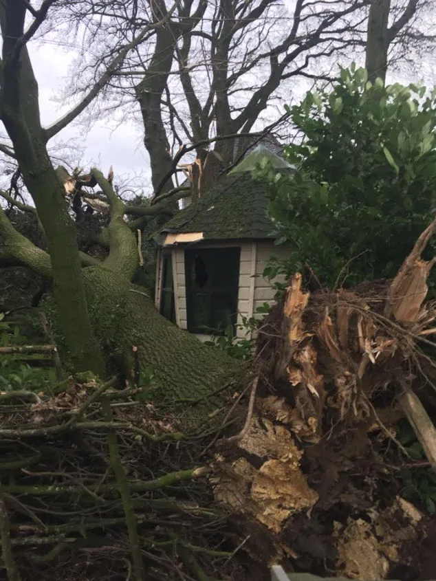 stormschade wijchen 180117 16