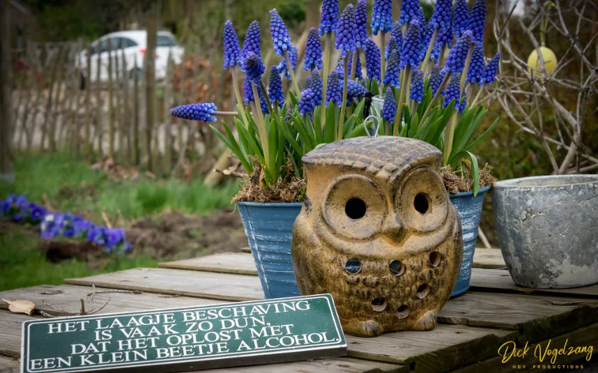 theetuin en koffiehuis balgoy 02